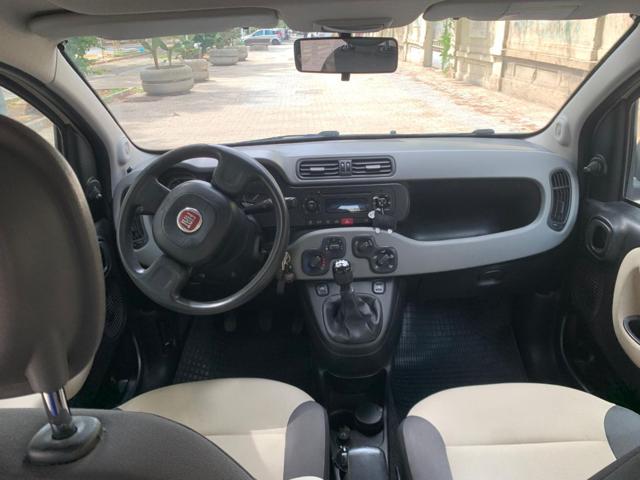 FIAT Panda usata 11