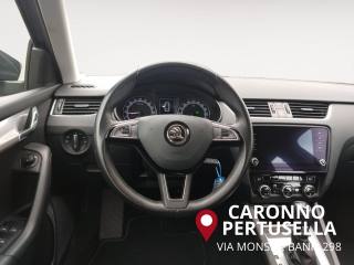 SKODA Octavia usata, con Fendinebbia
