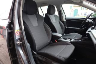 SKODA Octavia usata 143