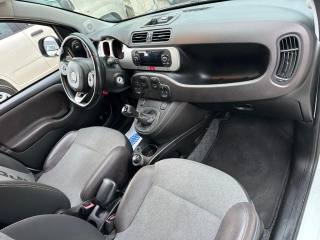 FIAT Panda Cross usata, con Chiusura centralizzata