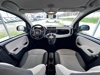 FIAT Panda usata, con Controllo trazione