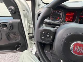 FIAT Panda usata 12