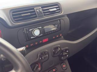 FIAT Panda usata 14