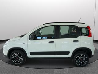 FIAT Panda usata 19