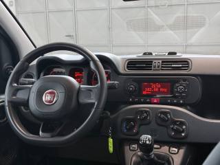 FIAT Panda usata 24