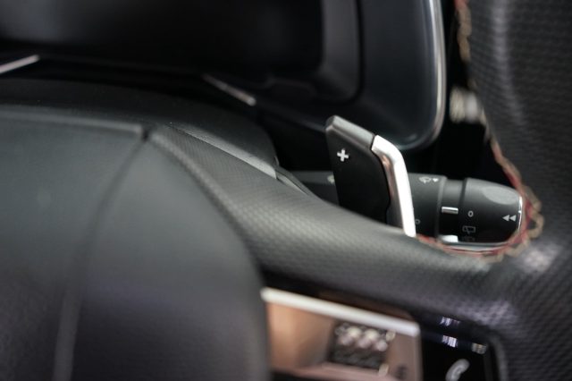 DS AUTOMOBILES DS 7 usata 50