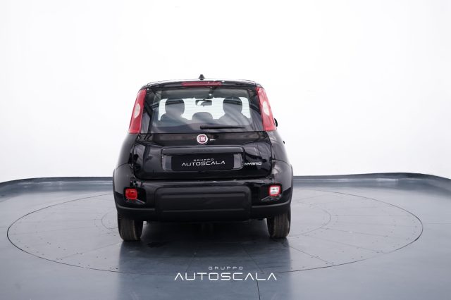 FIAT New Panda usata, con Antifurto