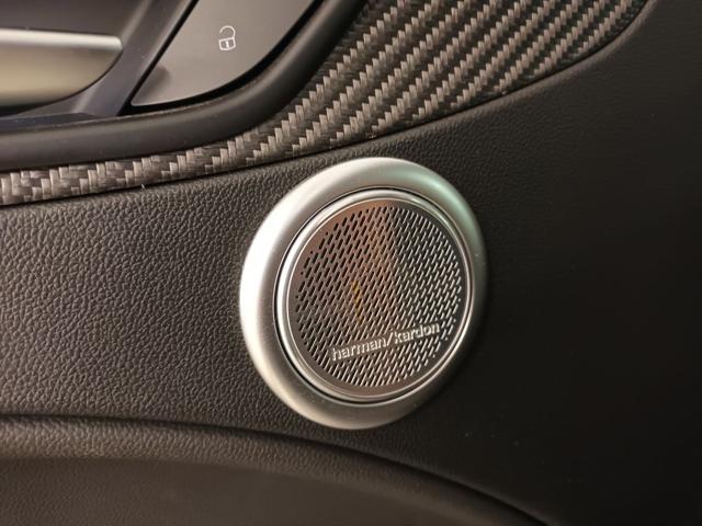 ALFA ROMEO Stelvio usata, con Sistema di chiamata d