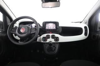 FIAT Panda usata 10