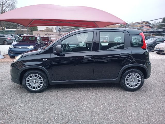 FIAT Panda usata, con Alzacristalli elettrici