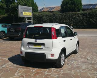 FIAT Panda usata, con Alzacristalli elettrici