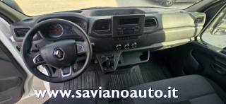 RENAULT  usata 8