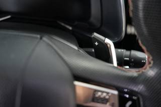 DS AUTOMOBILES DS 7 usata 50