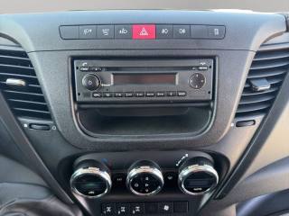 IVECO Daily usata 12
