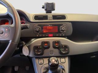 FIAT Panda usata 15