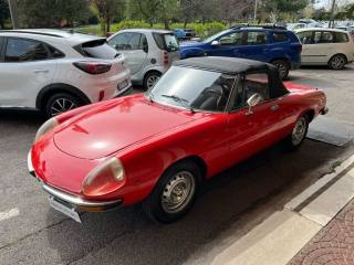 ALFA ROMEO Spider usata 11