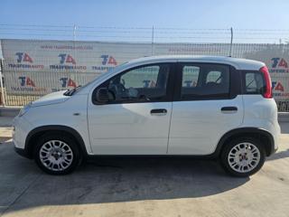 FIAT Panda usata, con Airbag