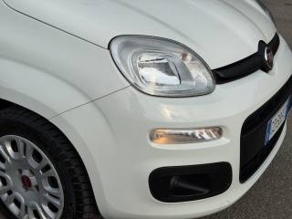 FIAT Panda usata 16