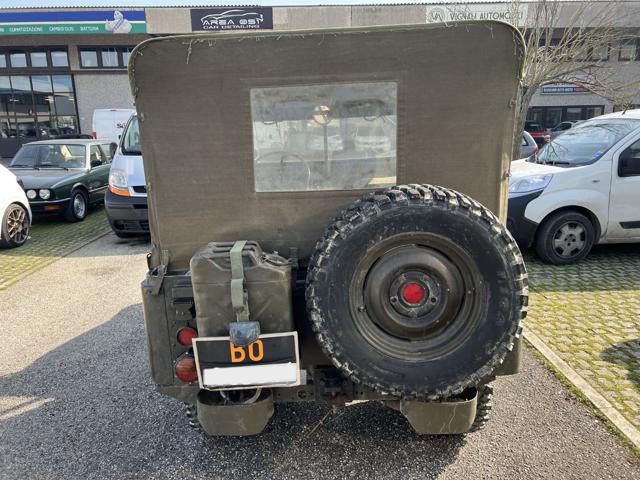 JEEP Willys usata 5
