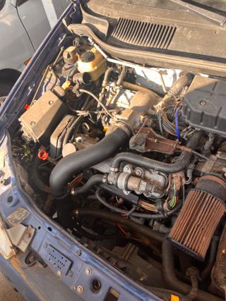 FIAT Punto usata 12