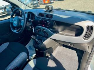 FIAT Panda usata, con Airbag testa