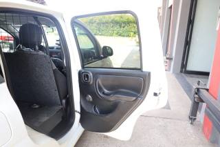 FIAT Panda usata 59
