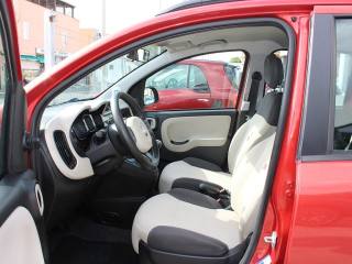 FIAT Panda usata, con Controllo trazione