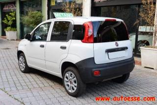 FIAT Panda usata, con Airbag laterali