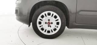 FIAT Panda usata, con Chiusura centralizzata telecomandata