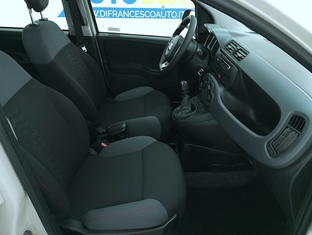 FIAT Panda usata 13