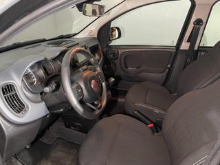 FIAT Panda Cross usata, con Controllo trazione