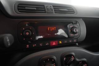 FIAT Panda usata 13