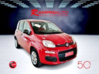 FIAT Panda usata 3