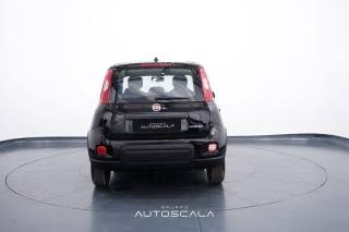 FIAT New Panda usata, con Antifurto