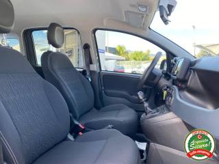 FIAT Panda usata, con Servosterzo