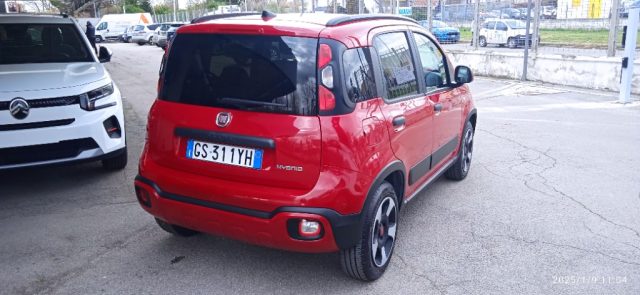 FIAT Panda Cross usata, con Airbag Passeggero