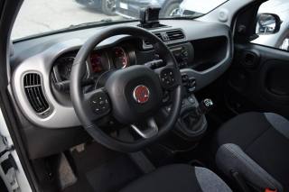 FIAT Panda usata, con Autoradio