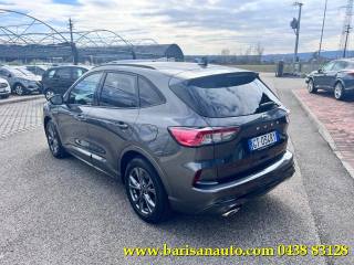 FORD Kuga usata, con Airbag Passeggero