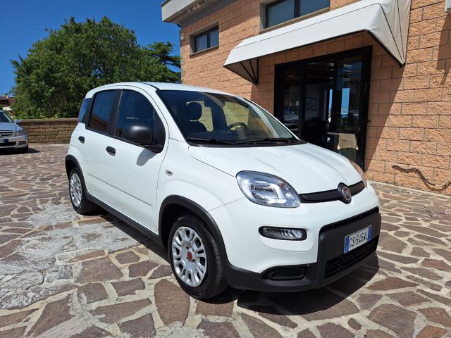 FIAT Panda usata, con Airbag Passeggero