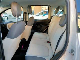 FIAT Panda usata 16