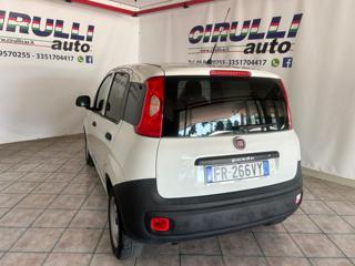 FIAT Panda usata, con Airbag Passeggero
