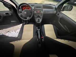 FIAT Panda usata, con Cruise Control
