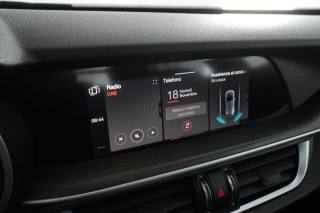 ALFA ROMEO Stelvio usata 10