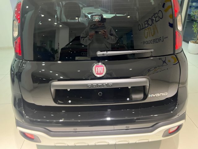 FIAT Pandina usata, con Cerchi in lega