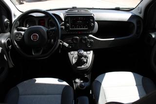 FIAT Panda Cross usata, con Controllo trazione