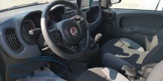 FIAT Panda usata, con Chiusura centralizzata