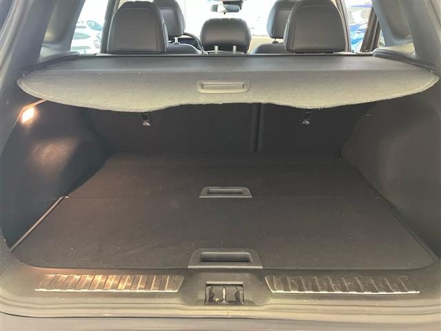 RENAULT Kadjar usata 19