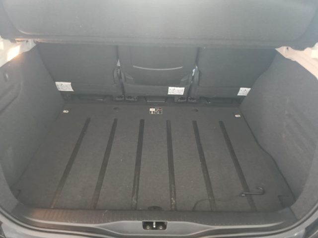 RENAULT Scenic usata, con Fendinebbia