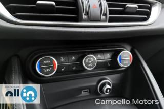 ALFA ROMEO Stelvio usata 13