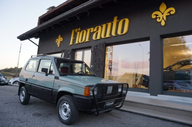 FIAT Panda usata, con Trazione integrale